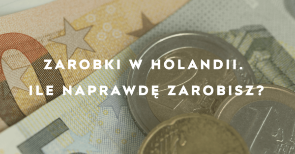zarobki w Holandii