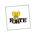 Fabryki Mebli Forte